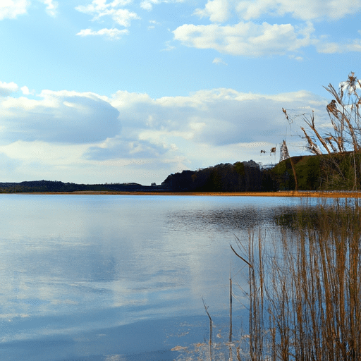 Jezioro Dzierżno Duże: Oaza spokoju i przygody dla miłośników natury