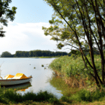 Oaza spokoju i aktywnego wypoczynku – Odkryj uroki Jeziora Pogoria IV w Kuźnicy Warężyńskiej