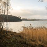 Nieodkryte piękno Jeziora Przeczyckiego - raj dla miłośników natury i sportów wodnych