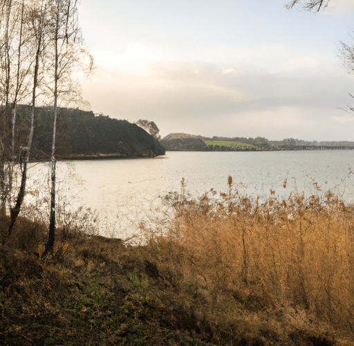 Nieodkryte piękno Jeziora Przeczyckiego – raj dla miłośników natury i sportów wodnych