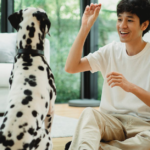 6 skutecznych sposobów na zapobieganie szczekaniu psa gdy zostaje sam